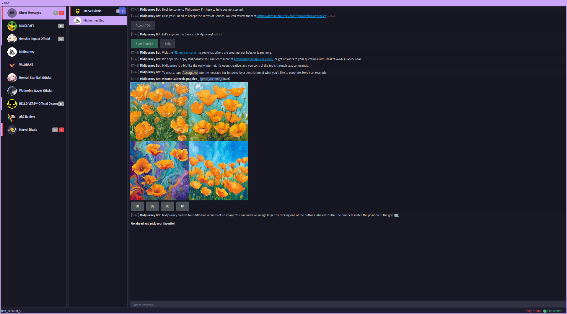 Direct message conversation with bot interaction and image grid